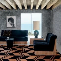 Onca Black Throw Pillow With Down-Alternative Insert 23" -Home Store CB2FA21 KD 1A 0217 OC21 1x1