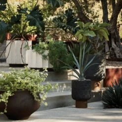 Clemente Footed Clay Indoor/Outdoor Planter Medium -Home Store CB2SP22 LF 10A V220copy