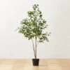 Faux Ficus Tree 6' 2 Faux Ficus Tree 6' -Home Store FauxFicusTree6p25ftSHS23