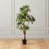Faux Potted Money Plant 5' -Home Store FauxMoneyTree5FeetSHF20