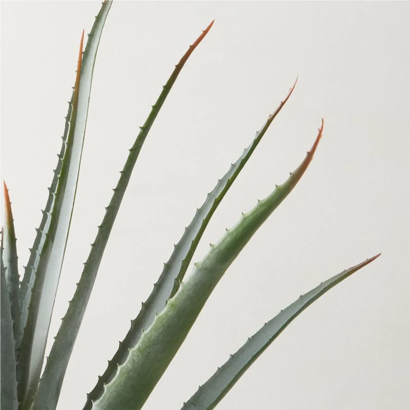 Faux Potted Aloe Vera Plant 26" 4 Faux Potted Aloe Vera Plant 26" - Image 2