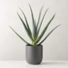 Faux Potted Aloe Vera Plant 26" 2 Faux Potted Aloe Vera Plant 26" -Home Store FauxPottedAloe24p5inSHS23