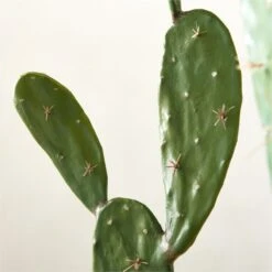 Faux Potted Cactus Plant 4'9'' -Home Store FauxPottedCactus4p9inAVSHS23