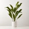 Faux Potted Iron Leaf Plant 35" 2 Faux Potted Iron Leaf Plant 35" -Home Store FauxPottedIronLeaf37inSHS23