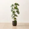 Faux Potted Monstera Deliciosa 40" -Home Store FauxPttdMonsteraDlcs40inSHF22