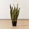 Faux Potted Snake Plant 3' 1 Faux Potted Snake Plant 3' -Home Store FauxSnakePlantSHF20