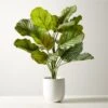 Faux Potted Watermelon Peperomia Plant 24" 1 Faux Potted Watermelon Peperomia Plant 24" -Home Store FxPttdWtrmlnPprmPlant24inSHF22