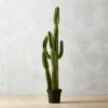 Potted Faux Cardón Cactus 5' 1 Potted Faux Cardón Cactus 5' -Home Store PottedCactus60inSHS17