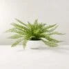 Faux Potted Fern Plant 10" -Home Store PottedFernPlantSHS22