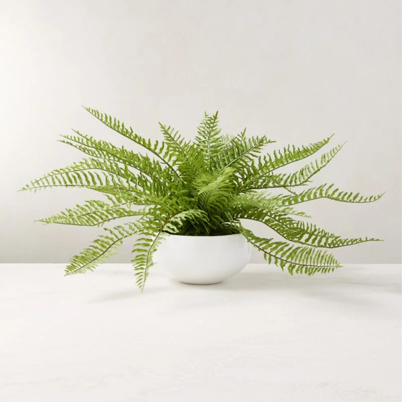 Faux Potted Fern Plant 10" 3 Faux Potted Fern Plant 10"