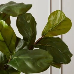 Faux Potted Fiddle Leaf Fig 7' -Home Store PottedFiddleLeafFig7ftROS19
