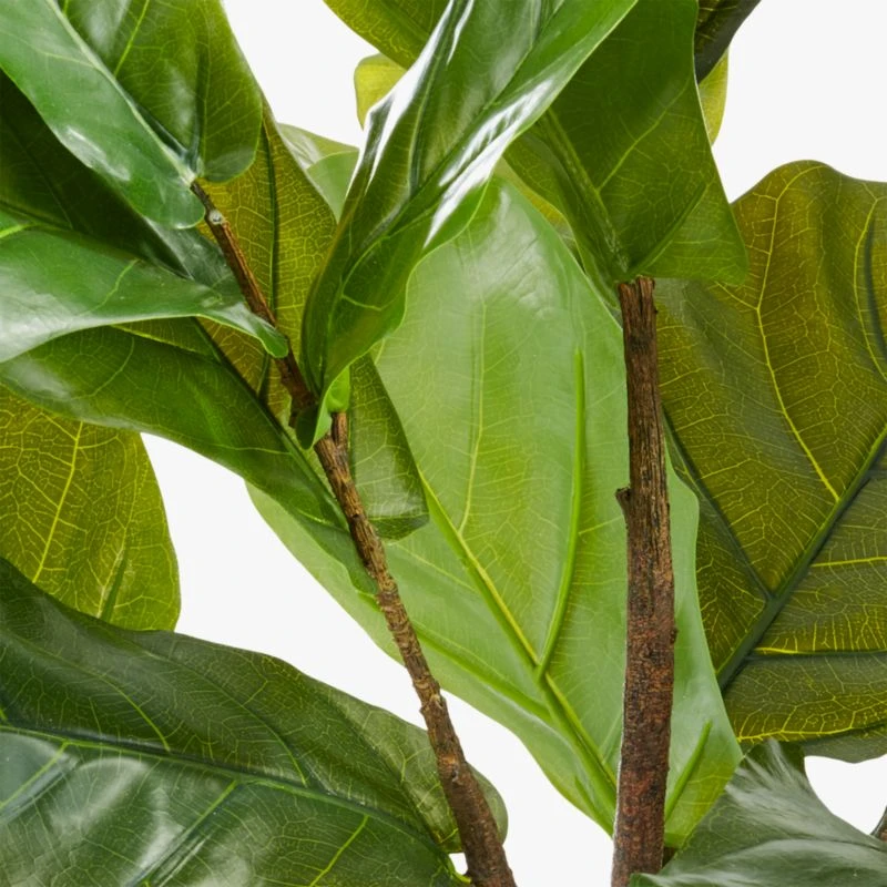 Potted Faux Fiddle Leaf Fig 5' 9 Potted Faux Fiddle Leaf Fig 5' - Image 7