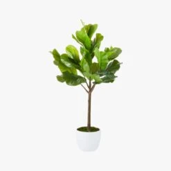 Potted Faux Fiddle Leaf Fig 5' 13 Potted Faux Fiddle Leaf Fig 5' -Home Store PottedFiddleLeafFigF17