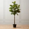 Faux Potted Fiddle Leaf Fig 7' 2 Faux Potted Fiddle Leaf Fig 7' -Home Store PottedFiddleLfFig7ftBlkPotSHS19
