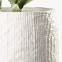 Potted Faux Succulent 14" -Home Store PottedSucculentWhitePotAVS18