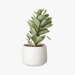 Potted Faux Succulent 14" -Home Store PottedSucculentWhitePotS18