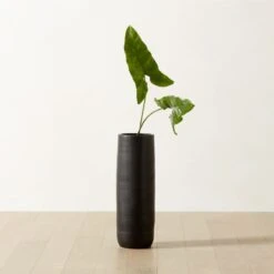 Reo Tall Black Vase 7 Reo Tall Black Vase -Home Store ReoLargeBlackVaseROS23
