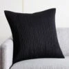 Sequence Black Throw Pillow With Down-Alternative Insert 20" 2 Sequence Black Throw Pillow With Down-Alternative Insert 20" -Home Store SequenceBkPlwCv20x20inSHF21