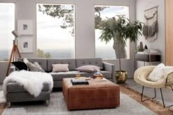 Reflect Black And White Throw Pillow With Down-Alternative Insert 20" -Home Store dittoIIsectionalmongolianJL17